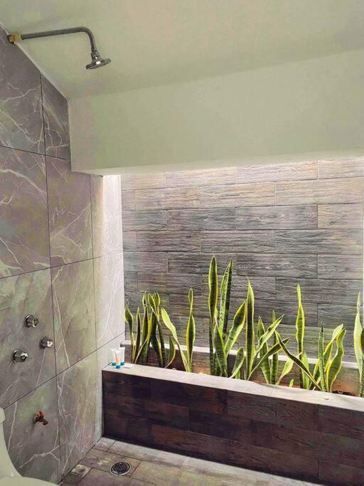 Casa Sol Y Luna Luxury ואיאדוליד מראה חיצוני תמונה